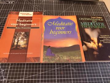 Meditatie Boeken - Beginners beschikbaar voor biedingen