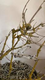 Gablonzer kerstbal vliegtuig, Diversen, Ophalen of Verzenden, Zo goed als nieuw