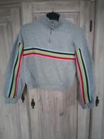 Bershka trui sweater m croptop grijs grijze regenboog, Verzenden, Gedragen, Maat 38/40 (M), Grijs