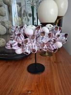 Prachtige roze zeepokken Balanus met roze zee-egels., Ophalen of Verzenden