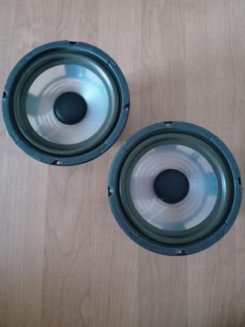 Berghe Noble Sound BNS - bas speaker set  beschikbaar voor biedingen