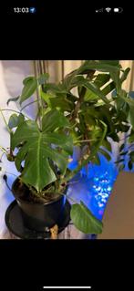 Inboedel te koop wegens verhuizing, Huis en Inrichting, Complete inboedels, Ophalen of Verzenden