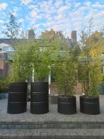 4 olievaten als plantenbakken met bamboe, Ophalen, Gebruikt, Rond, Minder dan 60 cm