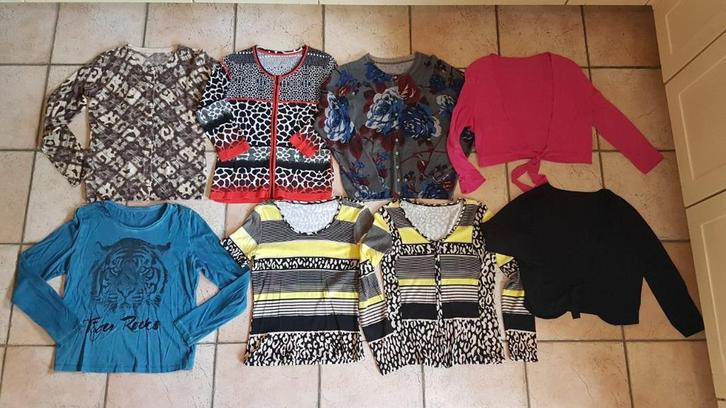 8 vestjes - longsleeves - shirts (maat S/M), Kleding | Dames, Dames-kledingpakketten, Zo goed als nieuw, Maat 36 (S), Ophalen of Verzenden
