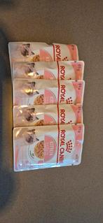 Kitten natvoer Royal Canin, Dieren en Toebehoren, Ophalen of Verzenden, Kat