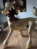Luxe gouden poedel beeld – groot statement decoratie, Ophalen, Zo goed als nieuw, Dier