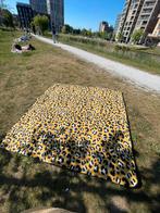 grote picknickmat, Ophalen of Verzenden, Gebruikt