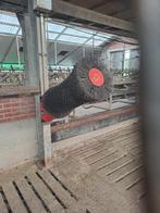 koeborstel, Dieren en Toebehoren