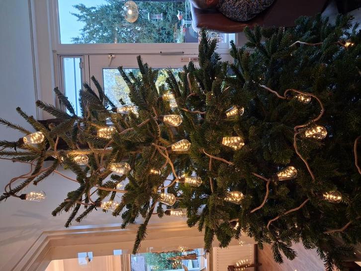 Kerstboomverlichting, Diversen, Kerst, Nieuw, Ophalen