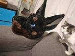 Fursuit hoofd, furry, Hobby en Vrije tijd, Kostuums, Theaterbenodigdheden en LARP, Ophalen of Verzenden