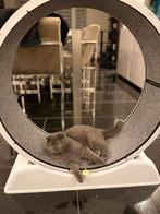 Loopband voor dieren(katten) , cat wheel 80cm, Ophalen, Zo goed als nieuw