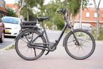 Pegasus Siena E7R e-bike - 2127 Km - Bosch motor, Overige merken, Ophalen of Verzenden, Zo goed als nieuw, 51 tot 55 cm