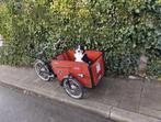 Babboe gekeurd  honden bakfiets  retro.dog trike, Ophalen, Zo goed als nieuw, 2 kinderen, Overige merken