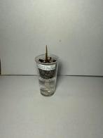 Alocasia Yucatan princess corm (4), Ophalen of Verzenden, Zo goed als nieuw, Miniatuur