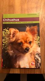 Chihuahua, Ophalen of Verzenden, Zo goed als nieuw, Katten