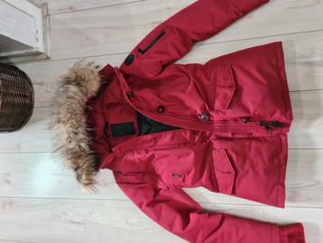 Airforce damesjas maat S bordeaux winterjas beschikbaar voor biedingen