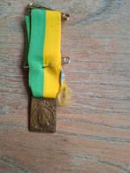 Penning medaille lintje Koningin Wilhelmina 1898 1948, Postzegels en Munten, Penningen en Medailles, Ophalen of Verzenden, Overige materialen