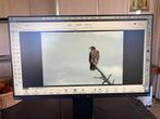 Eizo 24“ HD monitor, geschikt om foto/video mee te bewerken, Computers en Software, Monitoren, Full HD, Ophalen of Verzenden, Zo goed als nieuw