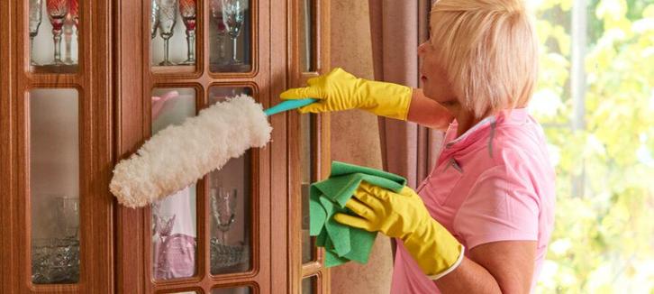 Schoonmakster gevraagd in Voorthuizen, Diensten en Vakmensen, Huishoudelijke hulp, Schoonmaken, Strijken