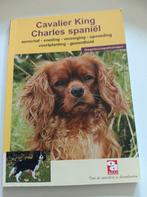Cavalier King Charles Spaniel, Ophalen of Verzenden, Zo goed als nieuw, Honden
