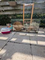 Glazen (hamster) reptiel kooi, Dieren en Toebehoren, Kooi, Zo goed als nieuw, Hamster, 75 tot 110 cm