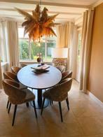 Mooie stoelen in velvet, Ophalen, Bruin, Zo goed als nieuw, Stof