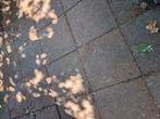 Gratis afhalen tuintegels 50x50, Tuin en Terras, Ophalen, Zo goed als nieuw, 10 m² of meer, Beton