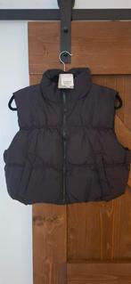 Meisjes Bodywarmer Nieuw - Maat M, Kleding | Dames, Bodywarmers, Maat 38/40 (M), H&M, Zwart, Nieuw