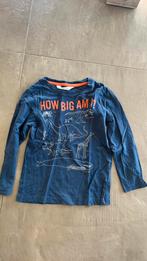 Longsleeve H&M dino opdruk 110/116, Ophalen of Verzenden, H&M, Jongen, Shirt of Longsleeve