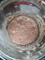 Zuurdesem starter, Diversen, Levensmiddelen, Ophalen