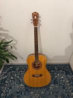 Washburn Gitaar - WM10JS, Ophalen of Verzenden, Zo goed als nieuw, Western- of Steelstringgitaar