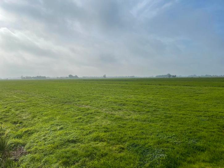 Te koop: ruim 12,31 hectare aaneengelegen landbouwgrond, Dieren en Toebehoren, Stalling en Weidegang, Weidegang