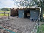 Eigen plek voor koudbloed of 2 shets,inloopstal,paddock,wei, Dieren en Toebehoren, Stalling en Weidegang, Weidegang, 1 paard of pony