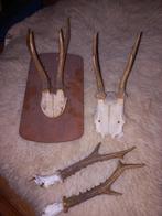 Oude geweitjes op schild en los, Ophalen of Verzenden