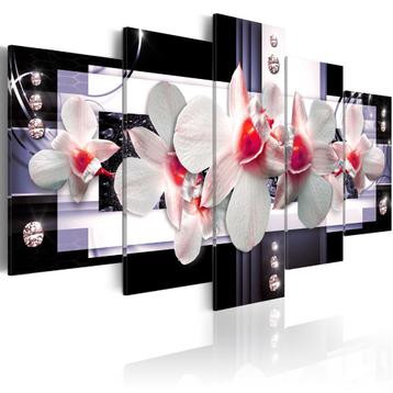 240 Modern Orchidee 5 Luik Canvas Schilderij 200x100cm Nieuw beschikbaar voor biedingen