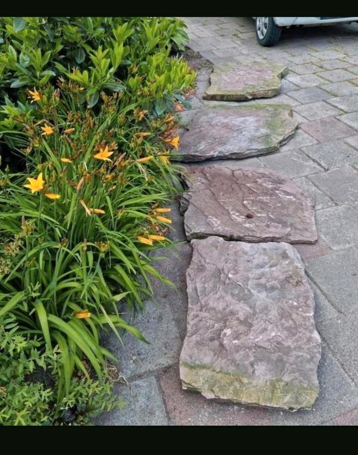 De ALLERGROOTSTE RODE flagstones van marktplaats! Flagstone, Tuin en Terras, Grind, Keien en Split, Zo goed als nieuw, Overige typen