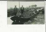 Westland Schuit met kisten fruit en groenten naar de veiling, Ophalen of Verzenden, Ongelopen, Zuid-Holland