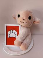 Cadeaupakket met een knuffel en een Nijntje fotolijstje, Ophalen of Verzenden, Nieuw, Overige typen