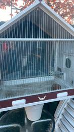 Stevig duivenhok, Dieren en Toebehoren, Ophalen, Gebruikt, Hout, Vogelkooi