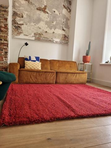 Splinternieuw Brink & Campman Rood 200 x 230 cm €100!!! beschikbaar voor biedingen
