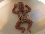 Reborn Kitje Ingekleurd Quinlyn, Verzamelen, Poppen, Ophalen, Nieuw