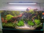 Leeg Aquarium 80x40x40 + toebehoren, Dieren en Toebehoren, Vissen | Aquaria en Toebehoren, Ophalen, Zo goed als nieuw, Leeg aquarium