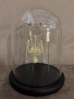 Stolp met een vleermuis skelet, Ophalen of Verzenden, Nieuw, Overige soorten, Overige typen