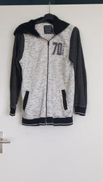 Sweatshirt vest met capuchon, Overige maten, Ophalen of Verzenden, Zo goed als nieuw, Grijs