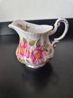 Paragon prairie rose porselein, Ophalen of Verzenden, Gebruikt, Porselein, Kop en/of schotel