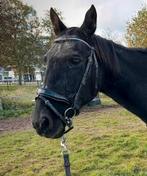 Diverse paardenspullen, Dieren en Toebehoren, Ophalen of Verzenden, Zo goed als nieuw, Recreatie