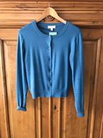 H&M vest M blauw, Ophalen of Verzenden, Nieuw, Blauw