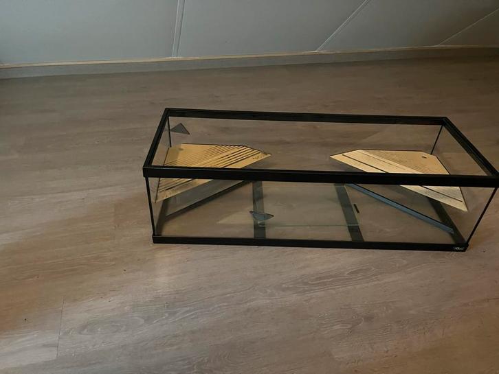 Groot aquarium voor waterschildpadden