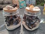 Mossel sfeerpot, Huis en Inrichting, Ophalen of Verzenden, Nieuw, Overige materialen, Minder dan 25 cm