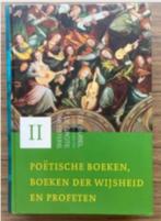 De Bijbel door de ogen van de grote meesters, Ophalen of Verzenden, Zo goed als nieuw, Schilder- en Tekenkunst